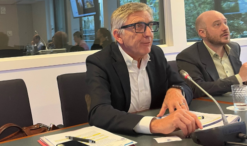 Sustainable Development Committee discussed EESC “Declaration for an EU ...